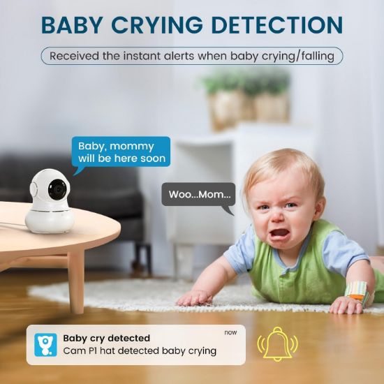 Picture of Security Camera Indoor 2K