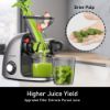 Picture of  Cold Press Juicer