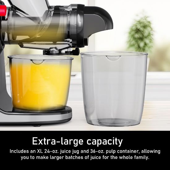 Picture of  Cold Press Juicer